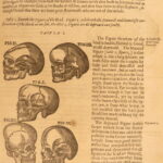 1631 – Human Anatomy – Helkiah Crooke | Mikrokosmographia | Illustrated Folio