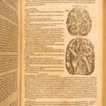 1631 – Human Anatomy – Helkiah Crooke | Mikrokosmographia | Illustrated Folio