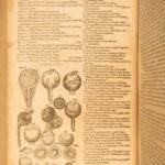 1631 – Human Anatomy – Helkiah Crooke | Mikrokosmographia | Illustrated Folio