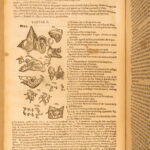 1631 – Human Anatomy – Helkiah Crooke | Mikrokosmographia | Illustrated Folio