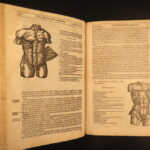 1631 – Human Anatomy – Helkiah Crooke | Mikrokosmographia | Illustrated Folio