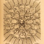 1691 – History of Louis XIV the Great | French Numismatics & Symbolism, Medals