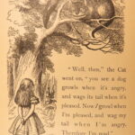 1885 – Alice’s Adventures in Wonderland – Carroll | American Binding, Illustrated