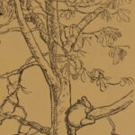 Winnie-the-Pooh – A.A. Milne – 1926 | First Edition, First Printing