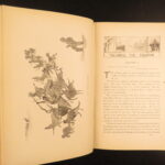 Following the Equator – Mark Twain – 1897 | First Edition, Illustrated with 193 Images