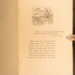 The Gold Bug – Edgar Allan Poe – 1894 | Horror, Suspense, & Mystery