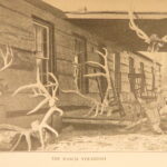 Outdoor Pastimes of an American Hunter – Theodore Roosevelt – 1905 | First Edition, 48 Lithographs