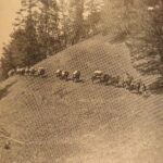 Outdoor Pastimes of an American Hunter – Theodore Roosevelt – 1905 | First Edition, 48 Lithographs