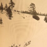 Outdoor Pastimes of an American Hunter – Theodore Roosevelt – 1905 | First Edition, 48 Lithographs