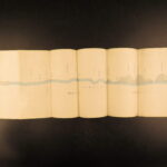 Geological Report – George Featherstonhaugh – 1835 | Folding Map, Fossils