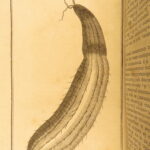 1791 – Africa Voyages of Francois le Vaillant | Beautiful 5 Volume Set, Illustrated | First Edition