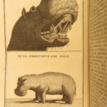 1791 – Africa Voyages of Francois le Vaillant | Beautiful 5 Volume Set, Illustrated | First Edition