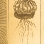 1791 – Africa Voyages of Francois le Vaillant | Beautiful 5 Volume Set, Illustrated | First Edition