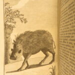 1791 – Africa Voyages of Francois le Vaillant | Beautiful 5 Volume Set, Illustrated | First Edition