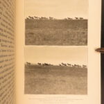1910 – African Game Trails by Theodore Roosevelt | First Edition, Hunting Trips