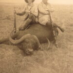 1910 – African Game Trails by Theodore Roosevelt | First Edition, Hunting Trips