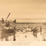 1910 – African Game Trails by Theodore Roosevelt | First Edition, Hunting Trips