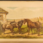 1874 – Modern Practical Farriery | Illustrated Horses & Veterinary Medicine