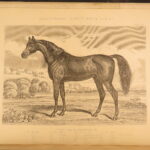 1874 – Modern Practical Farriery | Illustrated Horses & Veterinary Medicine