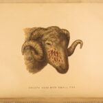 1874 – Modern Practical Farriery | Illustrated Horses & Veterinary Medicine