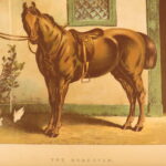 1874 – Modern Practical Farriery | Illustrated Horses & Veterinary Medicine