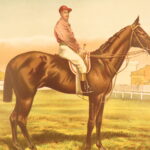 1874 – Modern Practical Farriery | Illustrated Horses & Veterinary Medicine