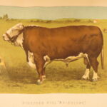 1874 – Modern Practical Farriery | Illustrated Horses & Veterinary Medicine