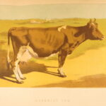 1874 – Modern Practical Farriery | Illustrated Horses & Veterinary Medicine