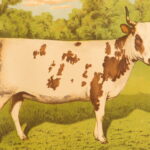 1874 – Modern Practical Farriery | Illustrated Horses & Veterinary Medicine