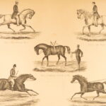 1874 – Modern Practical Farriery | Illustrated Horses & Veterinary Medicine