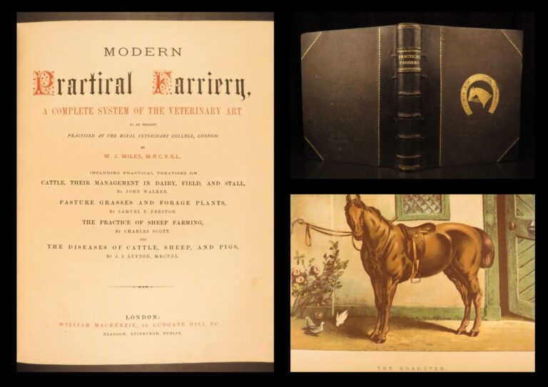 Image of 1874 – Modern Practical Farriery | Illustrated Horses & Veterinary Medicine