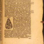 1698 – William Dampier Voyages | Rare Dutch Edition | Pirates & Buccaneers