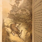 1860 – Chamois Hunting | Illustrated Hunting & Mountains Stories