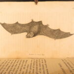 1809 – William Bingley on British Quadrupeds | First Edition, Illustrated Animals