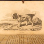1809 – William Bingley on British Quadrupeds | First Edition, Illustrated Animals