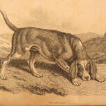 1809 – William Bingley on British Quadrupeds | First Edition, Illustrated Animals