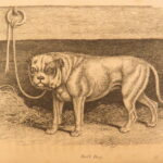 1809 – William Bingley on British Quadrupeds | First Edition, Illustrated Animals