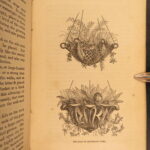 1861 – The Orchid Manual – Thomas Appleby | First Edition Botany & Flower Guide