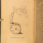 1861 – The Orchid Manual – Thomas Appleby | First Edition Botany & Flower Guide