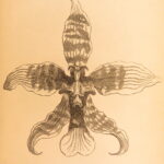 1861 – The Orchid Manual – Thomas Appleby | First Edition Botany & Flower Guide