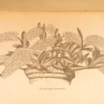 1861 – The Orchid Manual – Thomas Appleby | First Edition Botany & Flower Guide