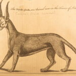 1761 – Gentleman’s Magazine | First Edition with Maps, Egyptian Mummies & Voyages