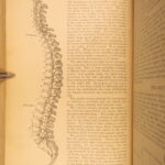 1883 GRAY’S ANATOMY Surgery Illustrated Medicine Physician Cardiology Neurology