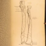 1883 GRAY’S ANATOMY Surgery Illustrated Medicine Physician Cardiology Neurology