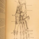 1883 GRAY’S ANATOMY Surgery Illustrated Medicine Physician Cardiology Neurology