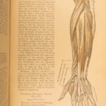 1883 GRAY’S ANATOMY Surgery Illustrated Medicine Physician Cardiology Neurology