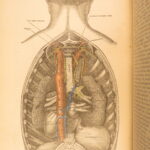 1883 GRAY’S ANATOMY Surgery Illustrated Medicine Physician Cardiology Neurology