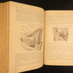 1883 GRAY’S ANATOMY Surgery Illustrated Medicine Physician Cardiology Neurology