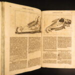 1678 – Horse Manual – Georg Winter | First Edition – Illustrated Veterinary Medicine