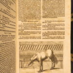 1678 – Horse Manual – Georg Winter | First Edition – Illustrated Veterinary Medicine